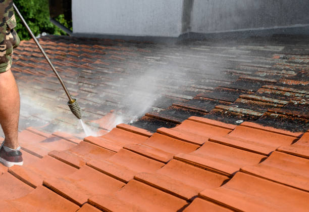  Pasadena Hills, FL Pressure Washing Pros