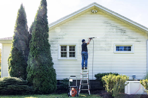 Reliable Pasadena Hills, FL Pressure Washing Solutions