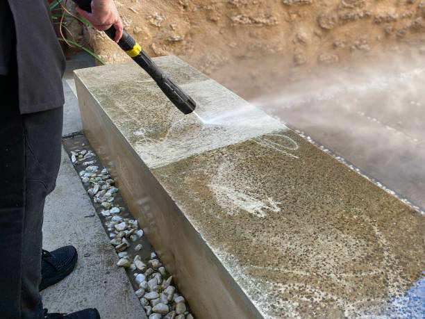Best Affordable Pressure Washing  in Pasadena Hills, FL