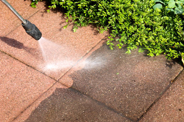 Professional Pressure Washing in Pasadena Hills, FL